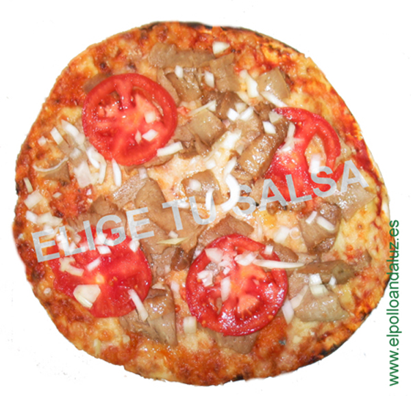 Pizza Kebab