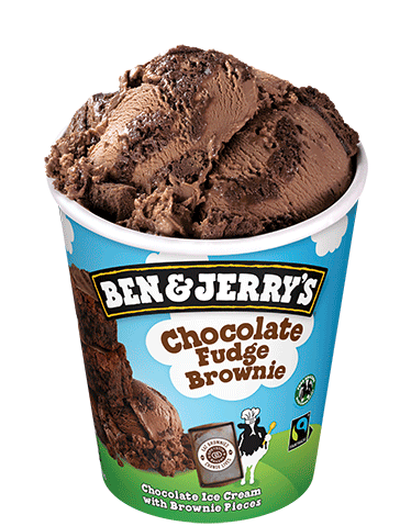 3-CHOCOLATE FUDGE BROWNIE