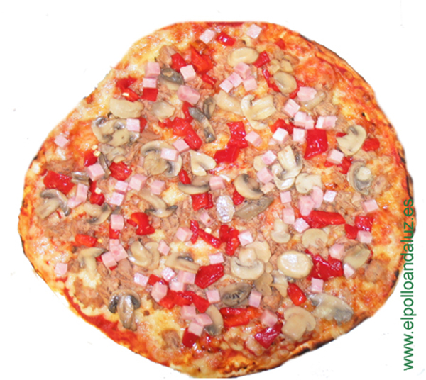 Pizza Atún Especial