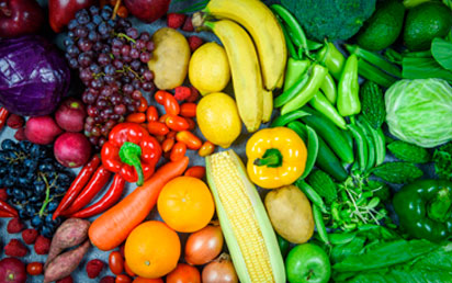 PARA VEGETARIANOS